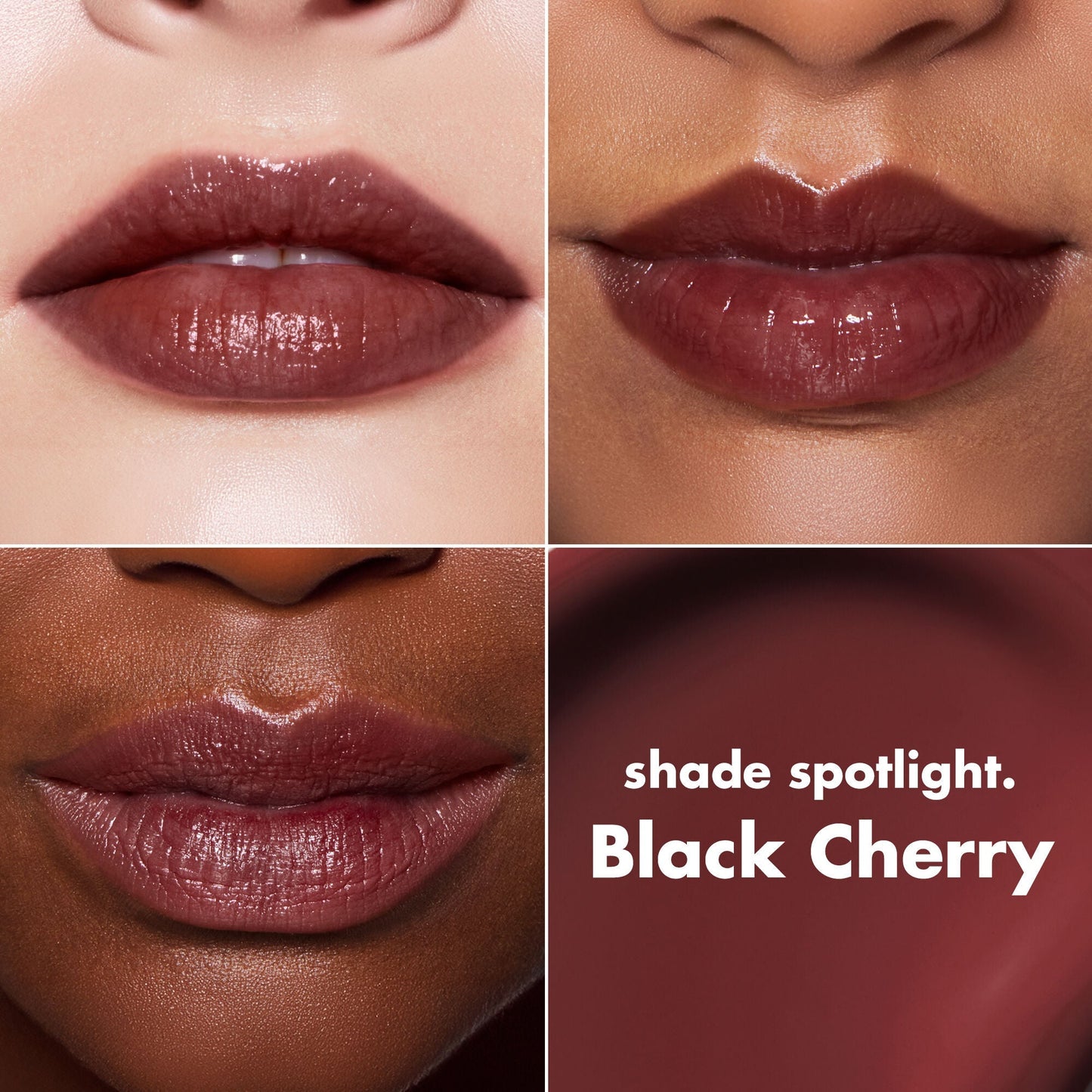 lip-lacquer-w5 0426_EDU_LipLaquer_ShadeChart_BlackCherry.jpg