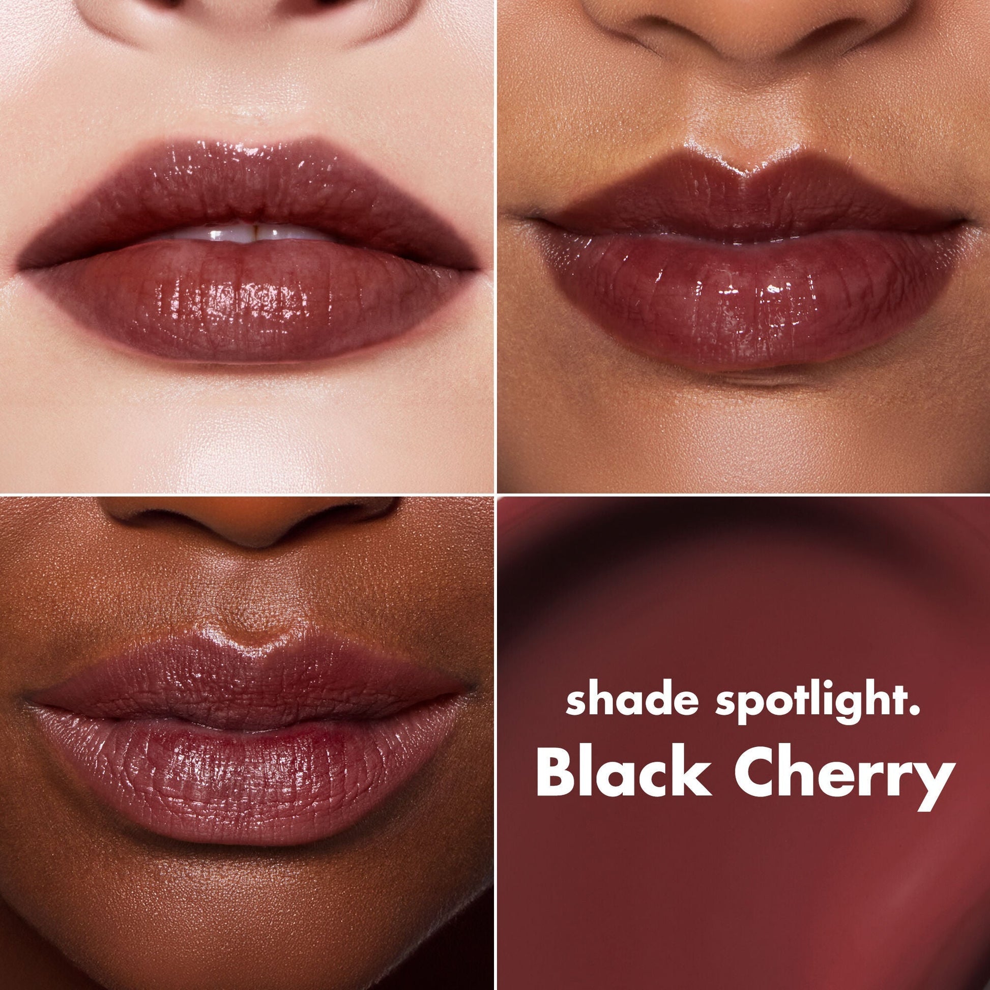 lip-lacquer-w5 0426_EDU_LipLaquer_ShadeChart_BlackCherry.jpg